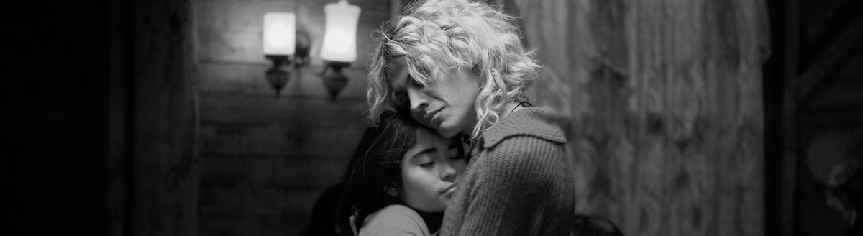 Μυστηριώδες Βλέμμα του Ροζ Φλαμίνγκο,&nbsp;Το